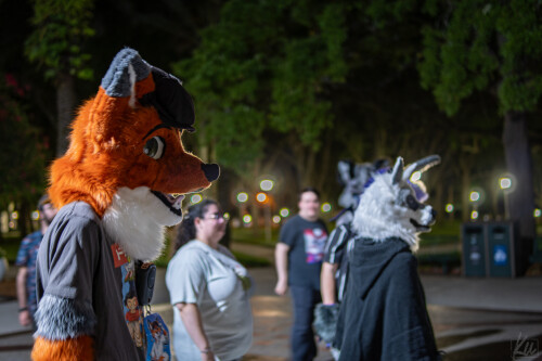 a090bee3156f181a2ab5b4074b348244.jpeg