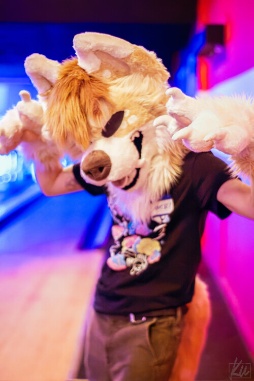 ef8bd588a3d451c29f0782c0093e02ee.jpeg