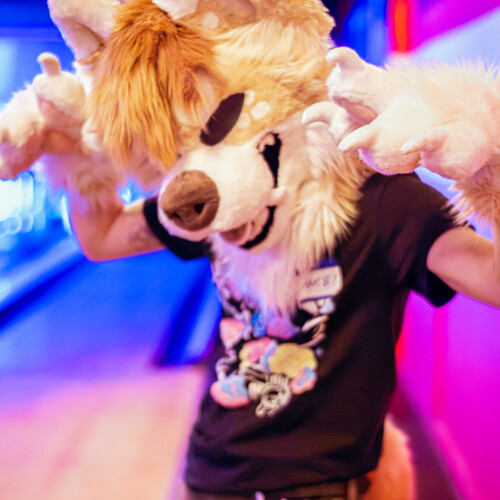 ef8bd588a3d451c29f0782c0093e02ee