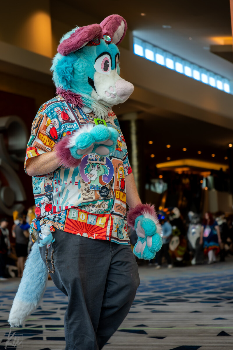 75b81f0569718a55d7fae7468803f4a0.jpg