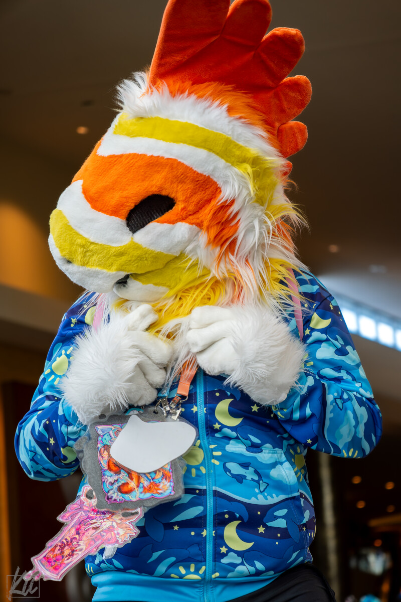 a52cf9e2ef2c794e7f4d5fe128a101ac.jpg