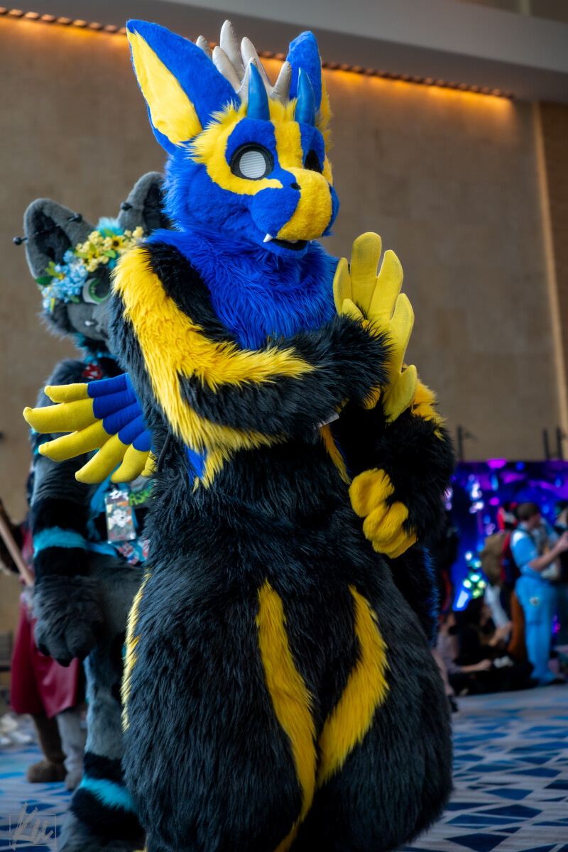 ccdf536a2d4aabc0729f6d265b8161f1.jpg