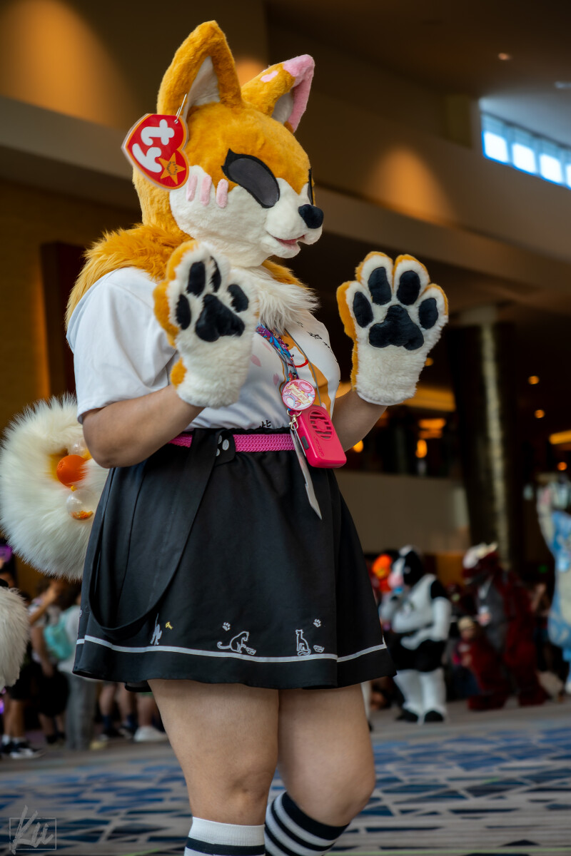 d6561977ed5f4342c82e4751ca82c975.jpg
