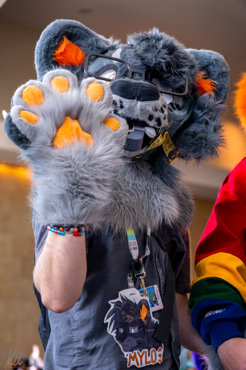 ad00ec9fb3062656e43a2f42127875a6.jpg