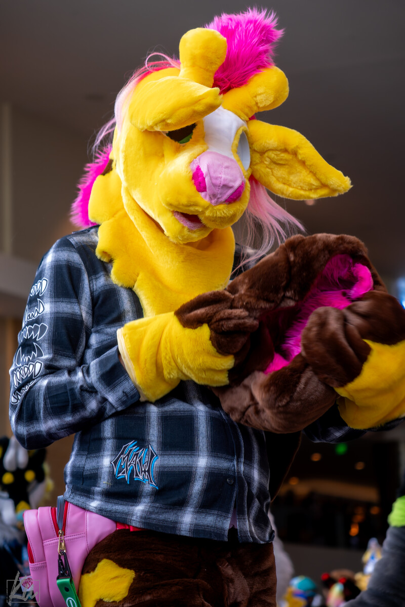 c2f202e739a86da8c074b991410d8d70.jpg